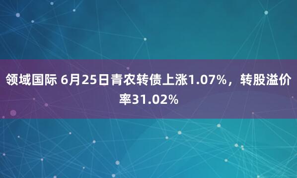 领域国际 6月25日青农转债上涨1.07%，转股溢价率31.02%