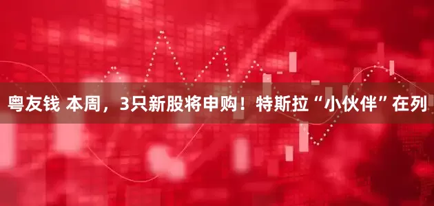粤友钱 本周，3只新股将申购！特斯拉“小伙伴”在列