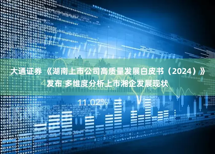 大通证券 《湖南上市公司高质量发展白皮书（2024）》发布 多维度分析上市湘企发展现状